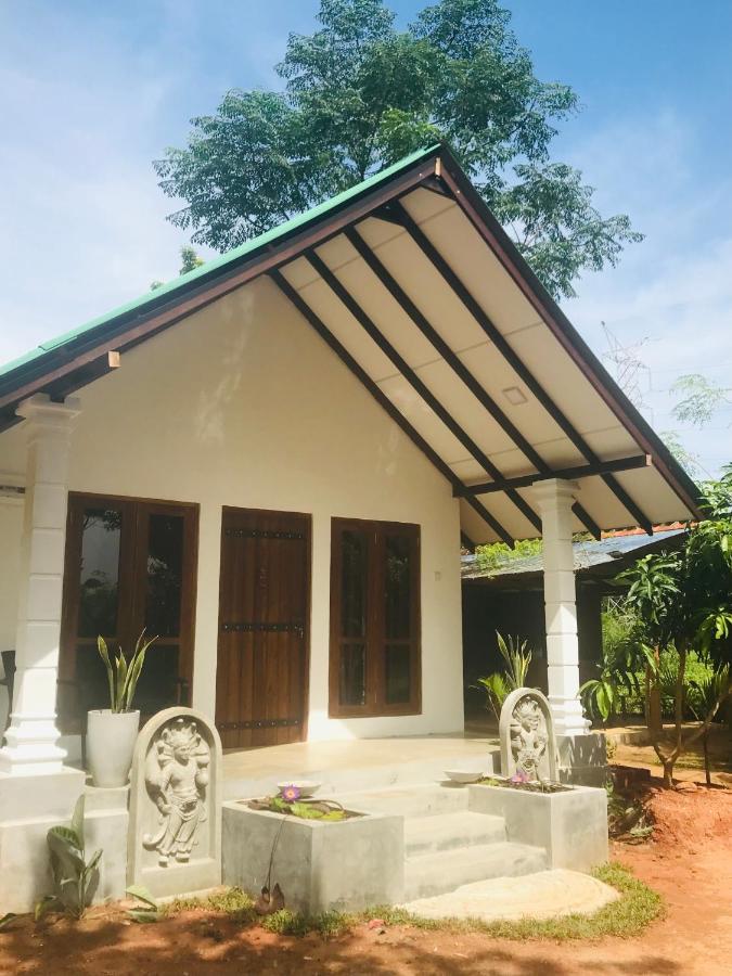 The Wild Culture Hotell Sigiriya Eksteriør bilde